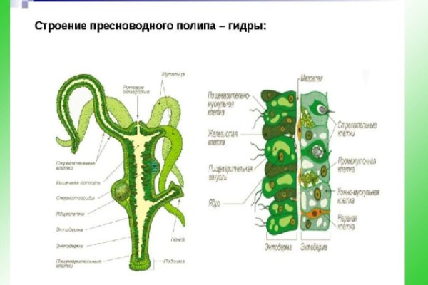 Kraken 14at сайт